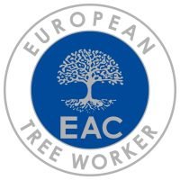 European tree worker in München